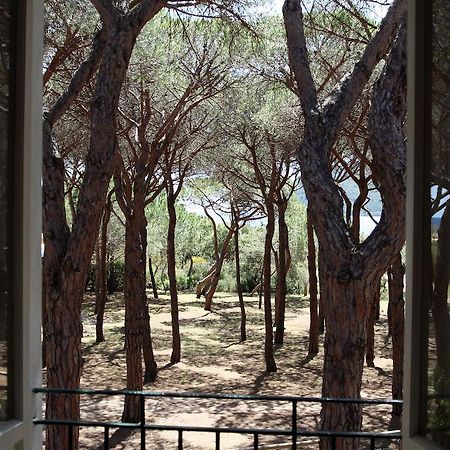 Hotel Villa Nettuno Marina di Campo Bagian luar foto